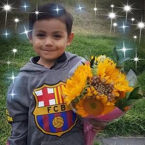 Meet your Posher, Daisy